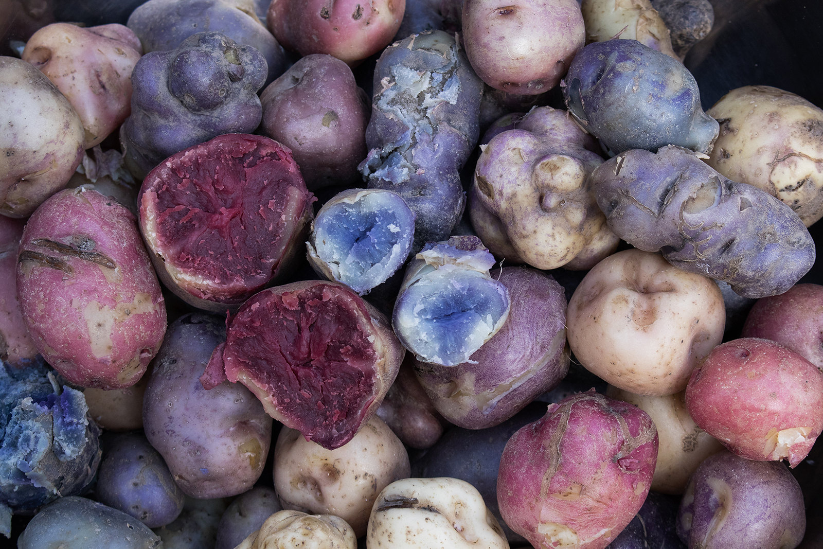 native potatoes