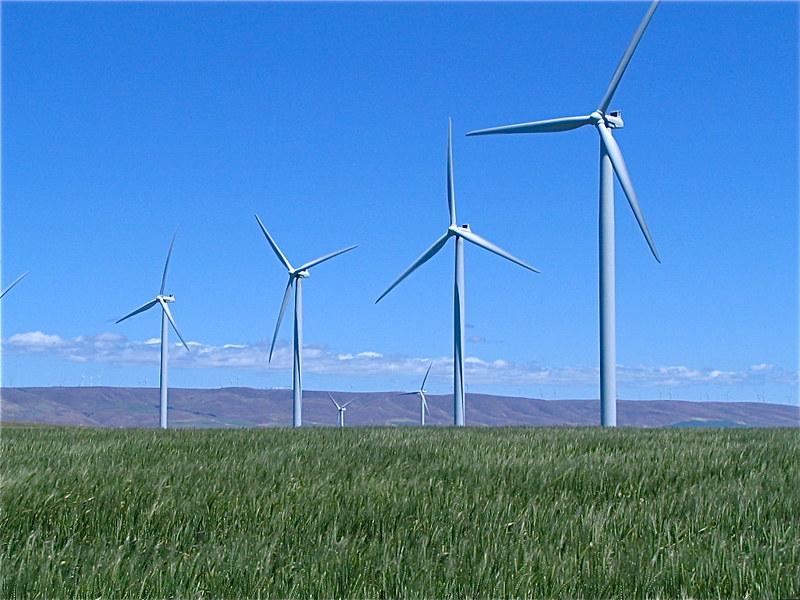 turbines in field