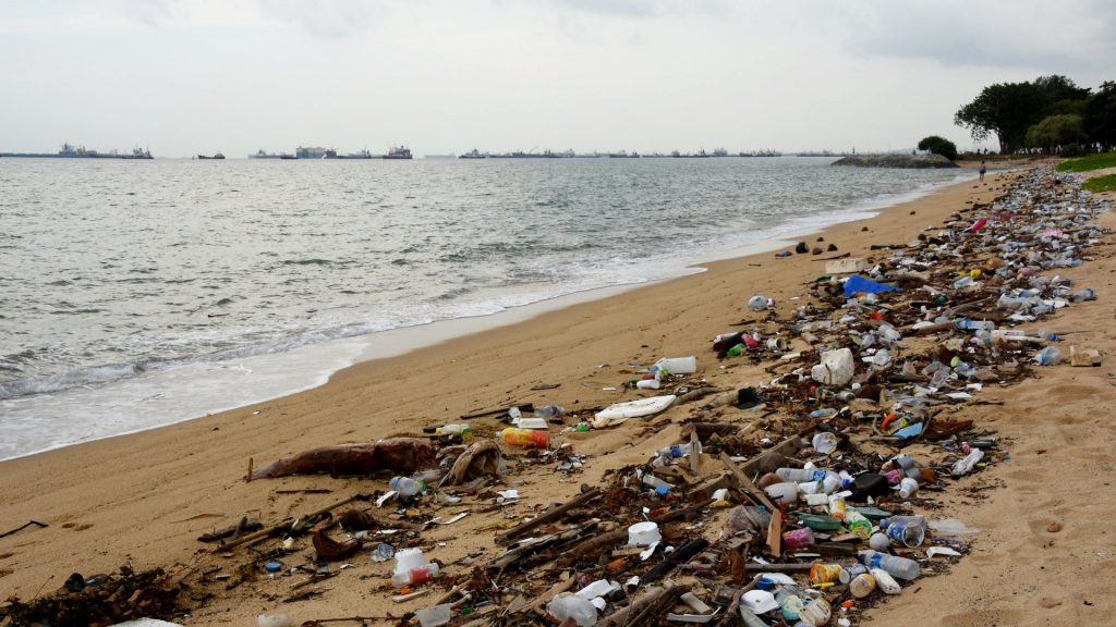 plastic debris in the tide line of the beach