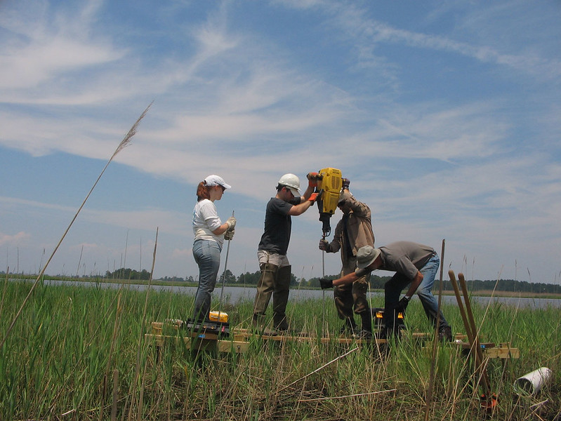 scientists install device in wetland