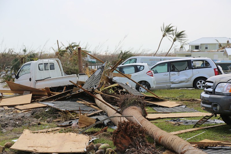 damaged cars and trees