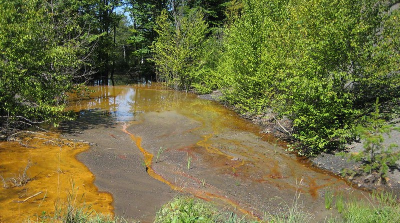 orange colored water