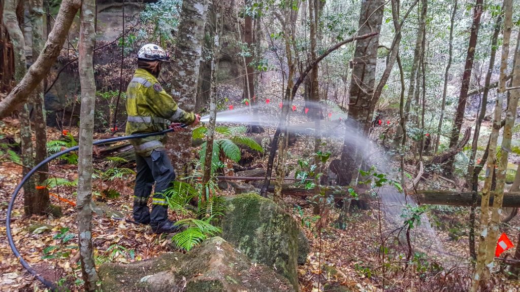 firefighter hosing vegetation