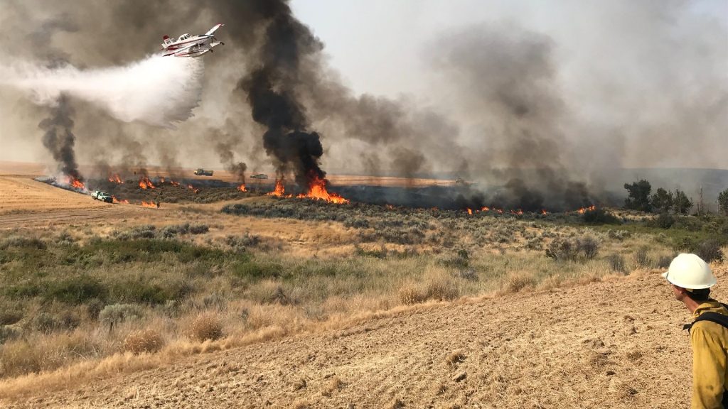 Grassland fire and firefighting effort