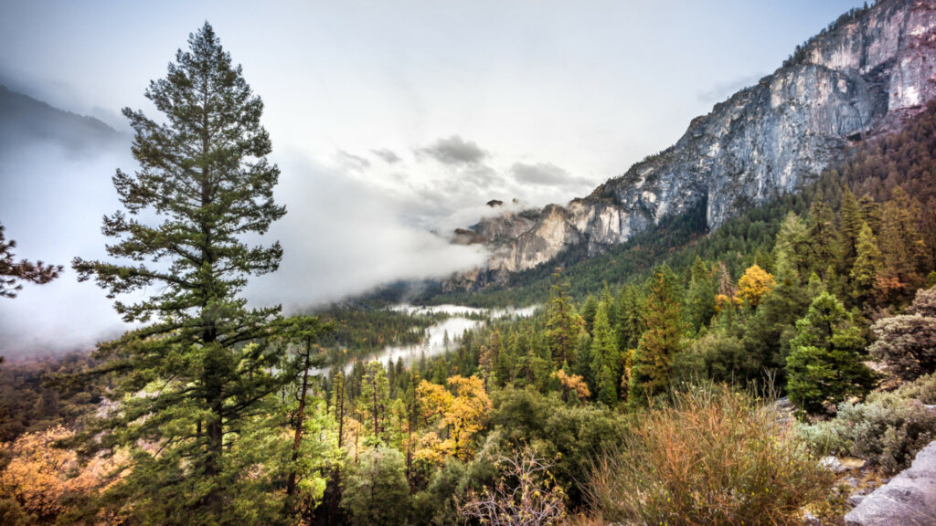 California Yosemite Valley