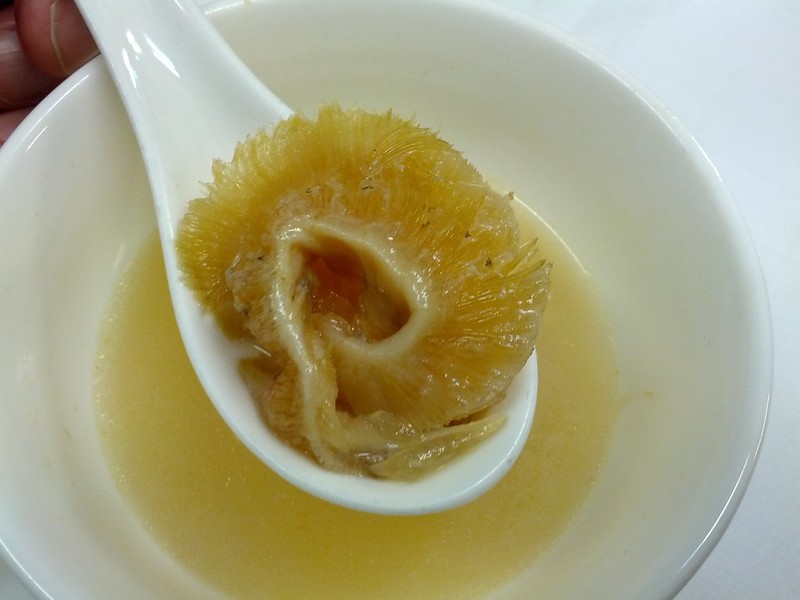 shark fin soup