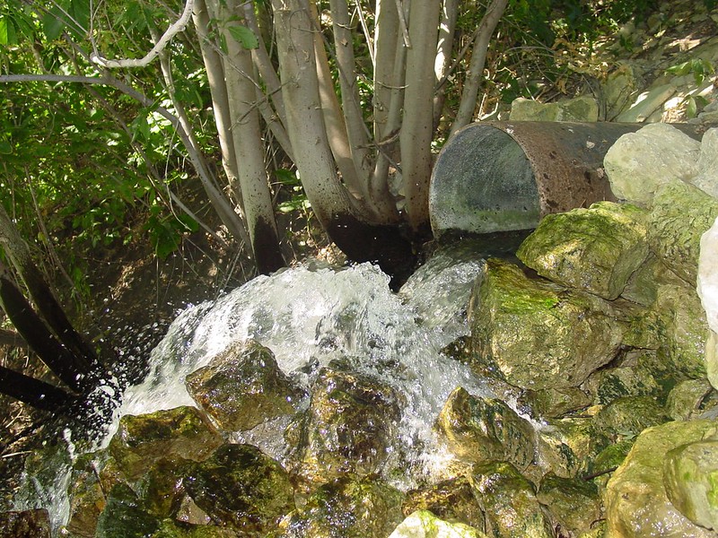 Water pipe over rocks and trees