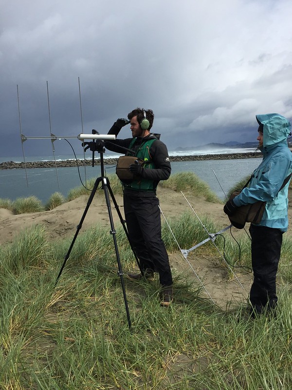 researchers in the field