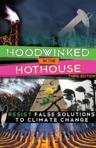 Hoodwinked