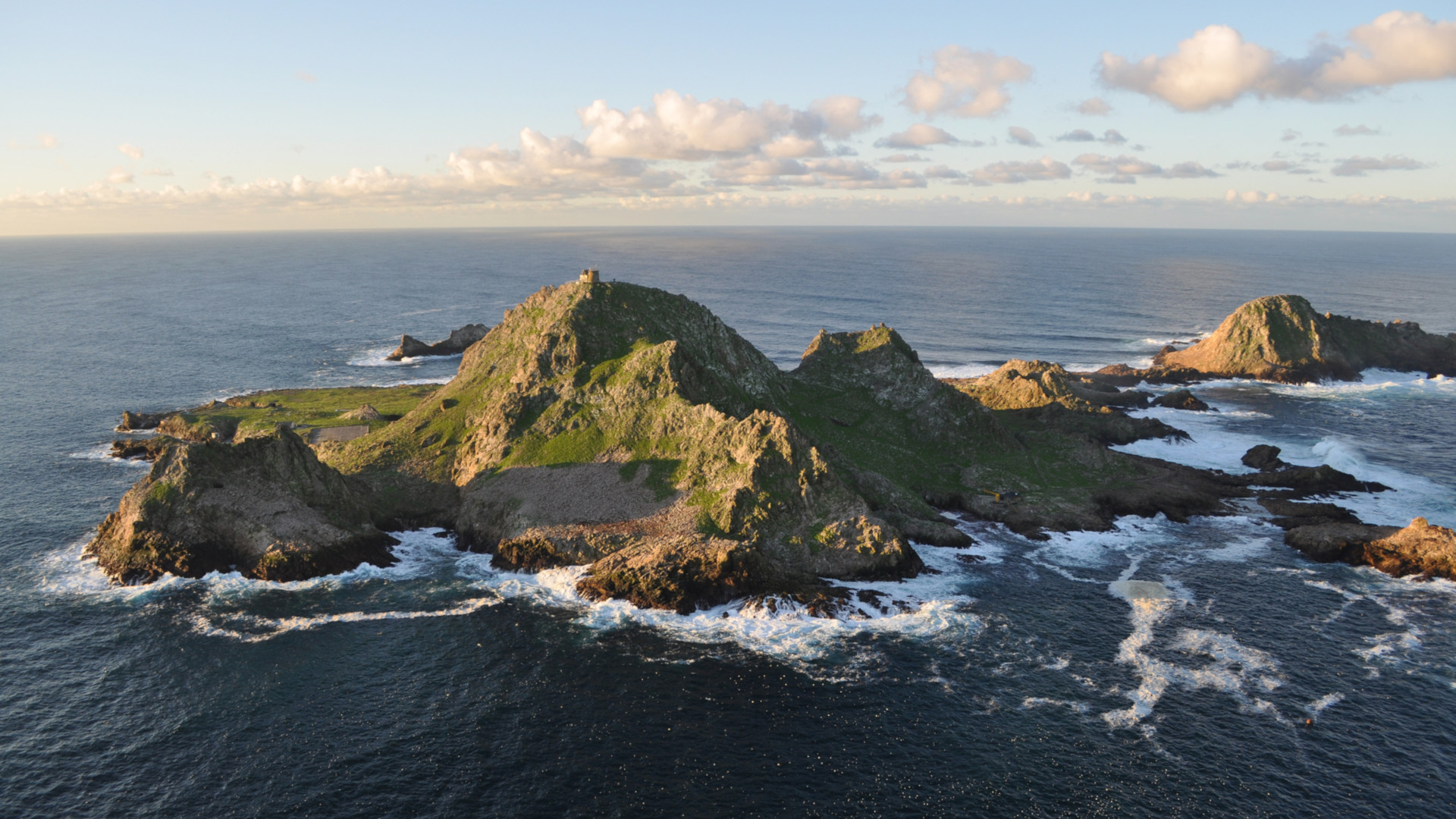 To Save a Seabird, Scientists Must Restore Balance to an Island 