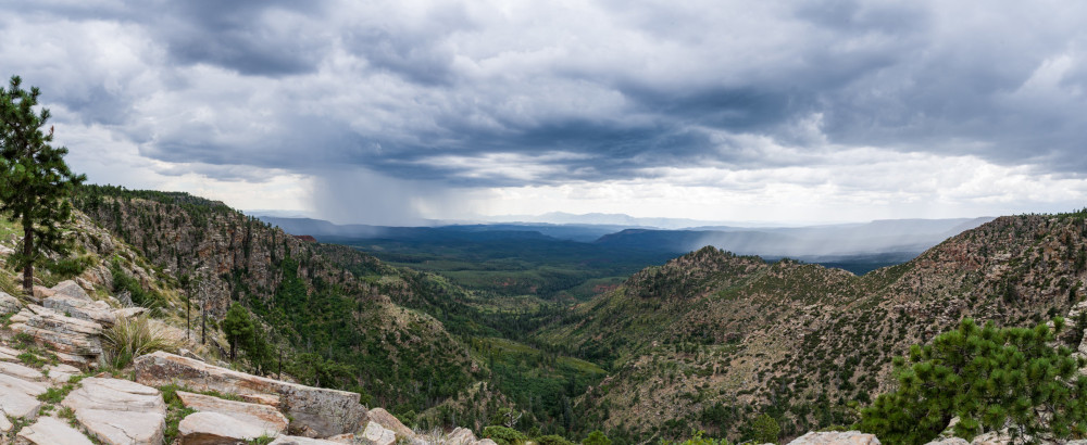 Mogollon Rim