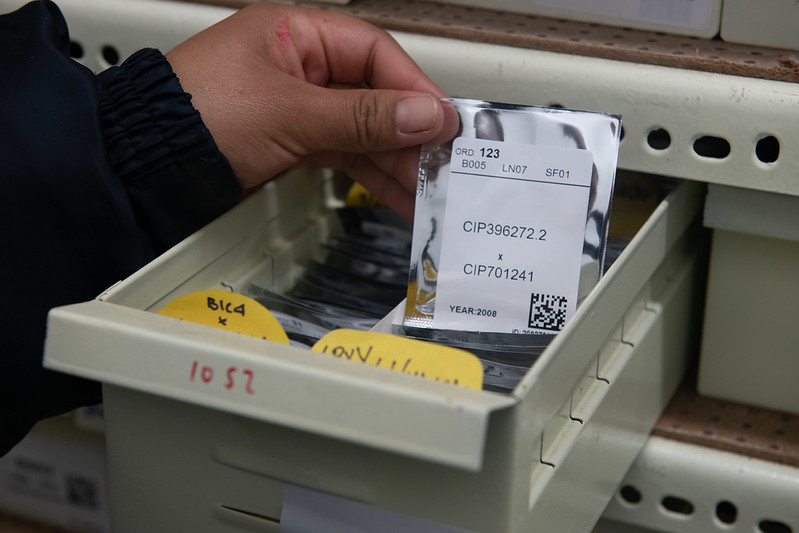 drawer with seed packets