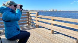 woman sitting on bench with binoculars looking at water