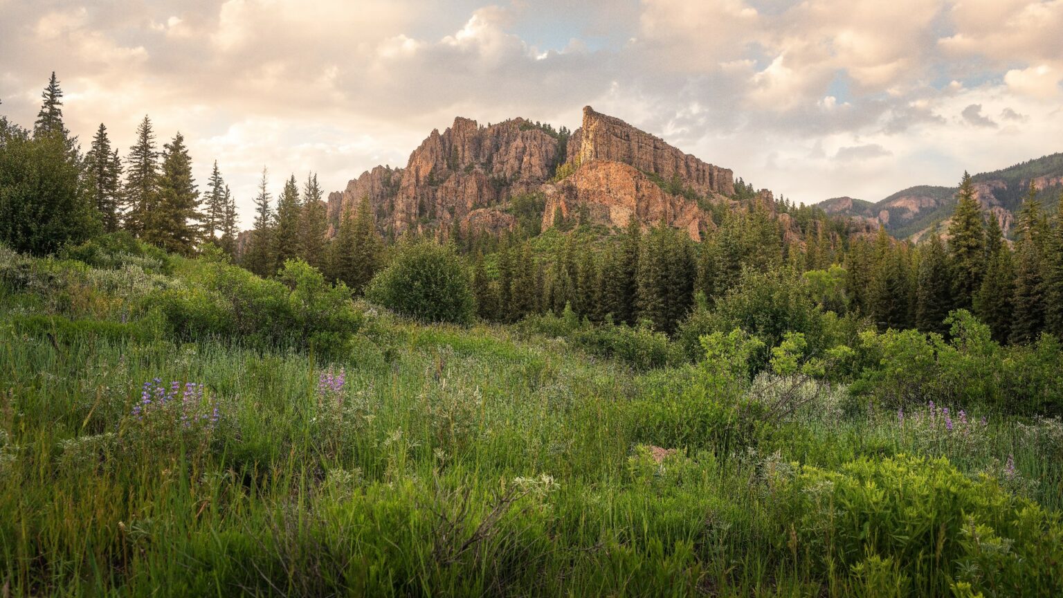 Can Roadless Areas Help Stem The Extinction Crisis In The United States ...