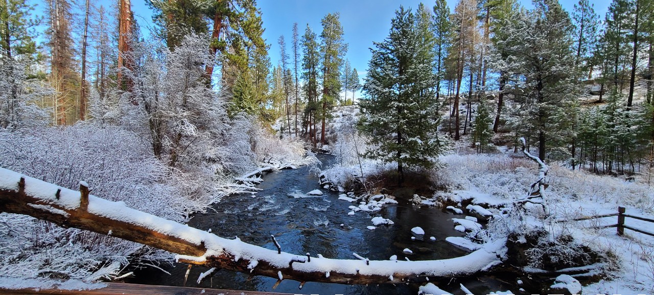 snow along creek bank and log over creek