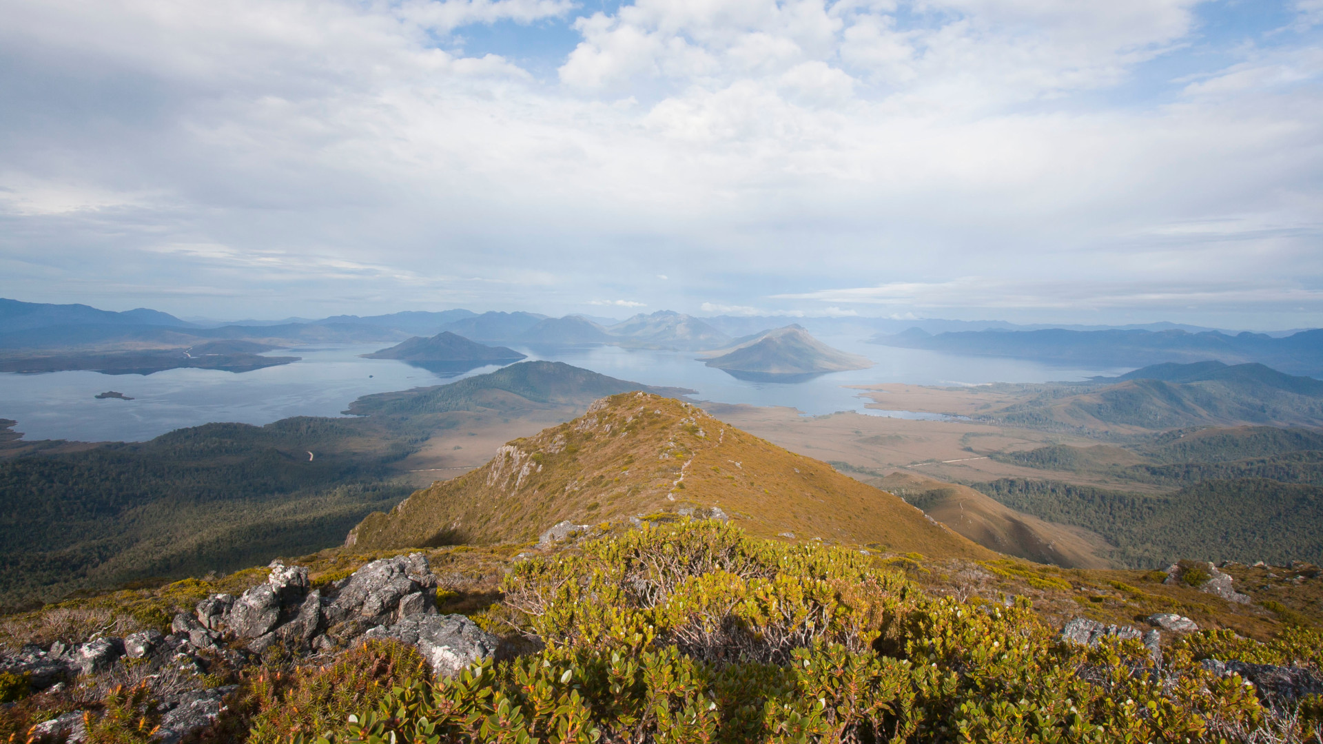 The Legacy of Lake Pedder: How the World’s First Green Political Party ...