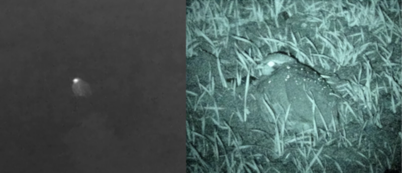 Side-by-side images show the difference in thermal and infrared technologies.