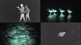 Thermal and infrared images