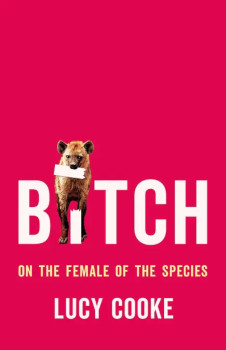 Bitch book cover