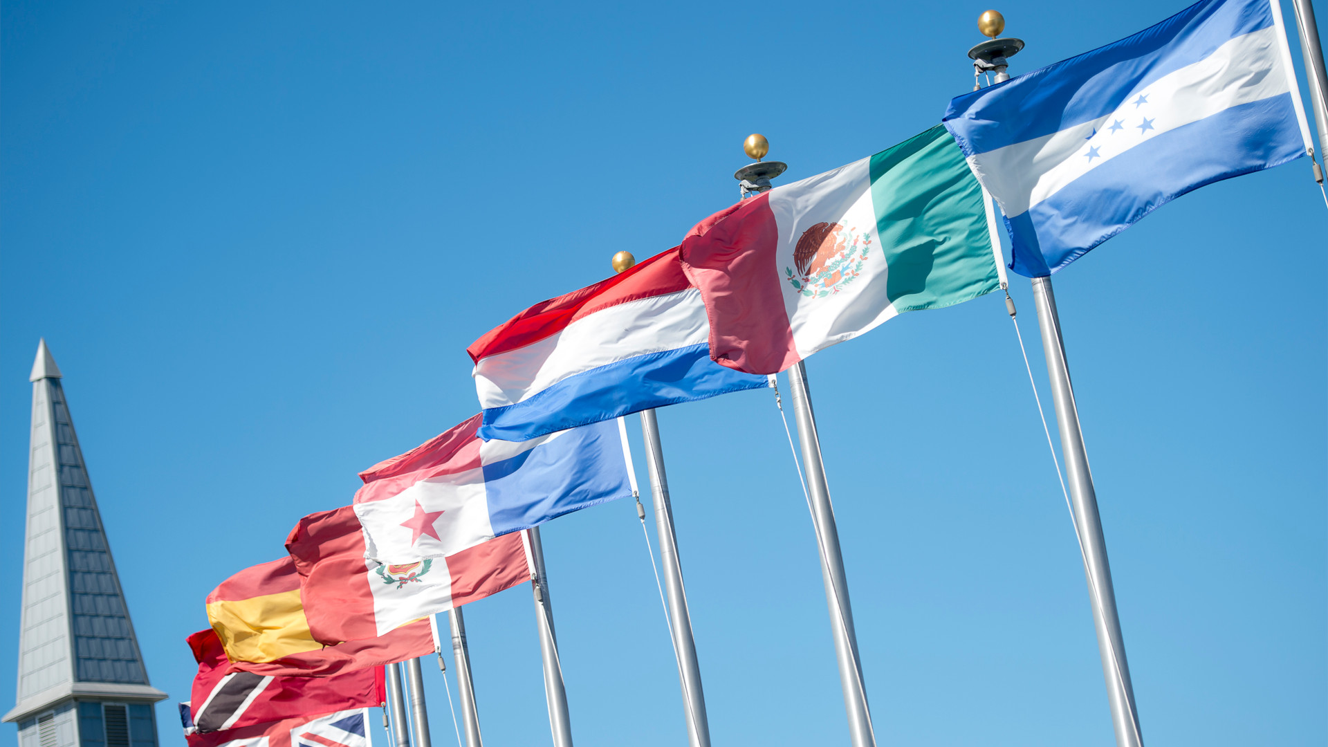 A field of flags against a blue sky