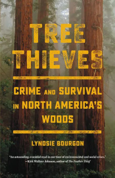 Tree Thieves book cover