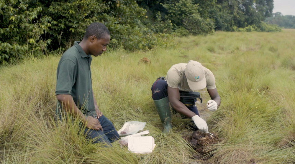 Two researchers kneel over a sample in the grass.