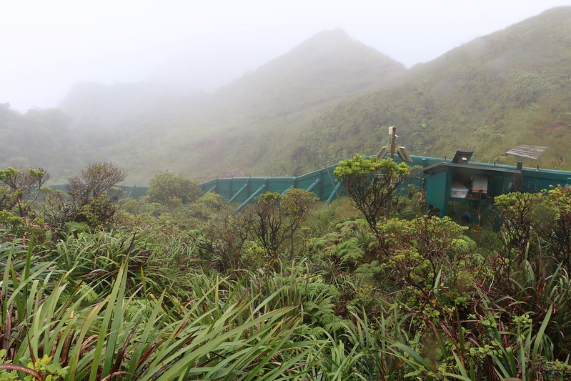 area of vegetation surrounded by fence on hillside