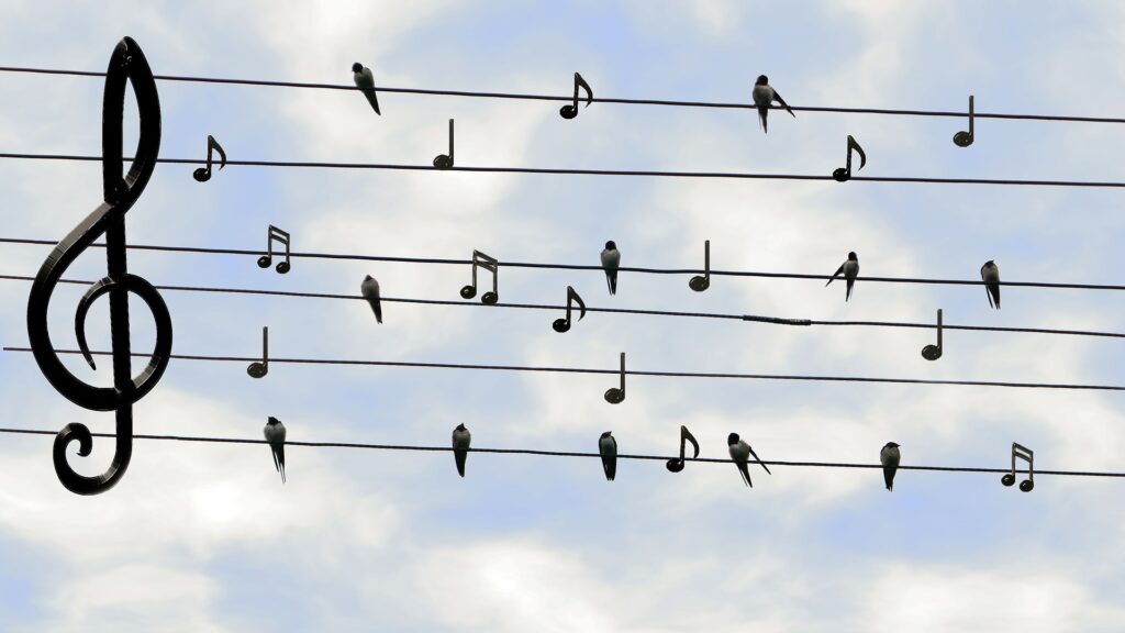 Birds on a wire made to look like musical notes