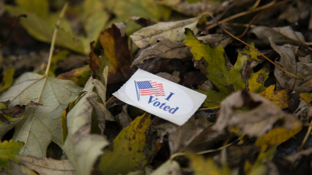 Voting sticker on leaves