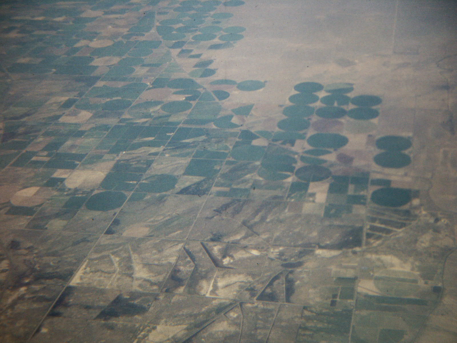 Green circles of irrigated crops against a desert background.