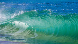 Green wave dominates a blue ocean
