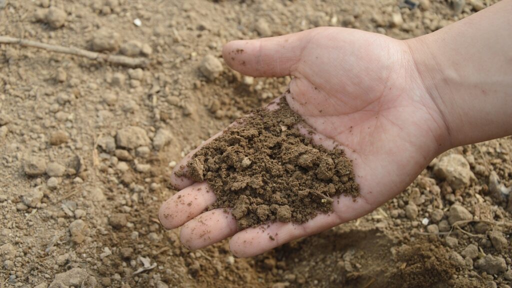 a hand with soil in the palm