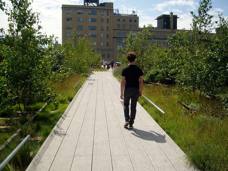 Person walking elevated path surrounded by plants.