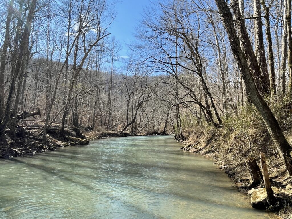 Blue green creek waters with trees on bank