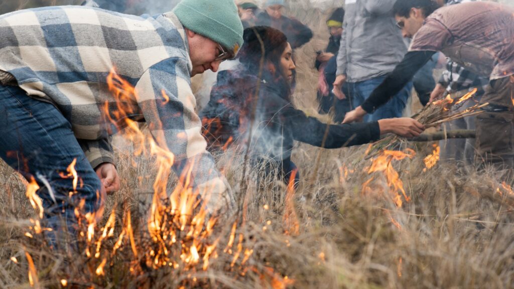 People kneeling and bending over to light vegetation on fire.