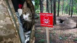 Composite image: a soldier holds a lost cat inside his jacket; a sign warns about landmarks in a forest.