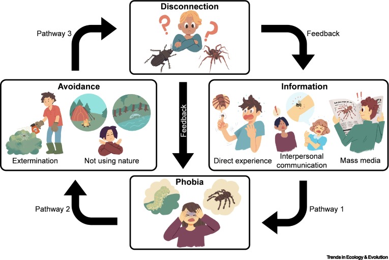 A graphic illustrates how biophobia grows and escalates