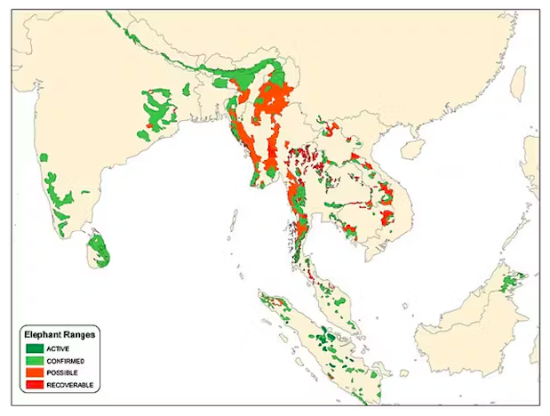 Map of elephant ranges in the region.