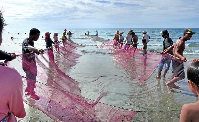 Two lines of people hold a fishing net at the shoreline.