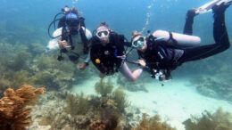 3 scuba divers float above restored coral