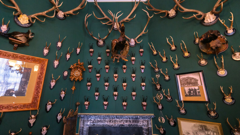 A wall of hunting trophies