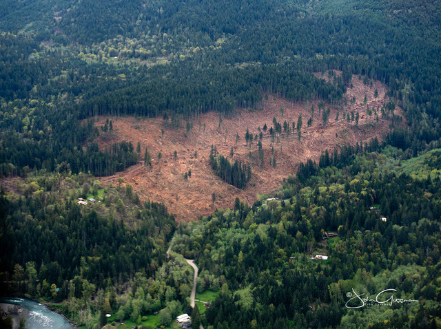 Aerial view of clear cut with forest surrounding