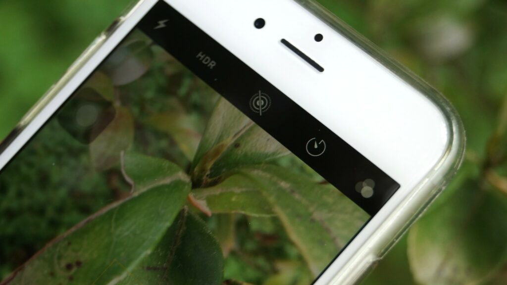photo of a plant on a cell phone