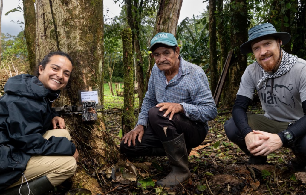 Two men and one woman squat by a tree outfitted with camera trap.