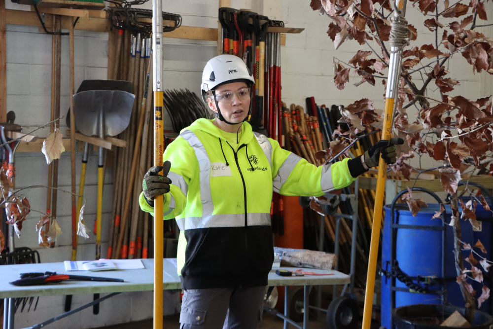 A woman in a hardhat and bright yellow jacket stands among and holds forestry tools