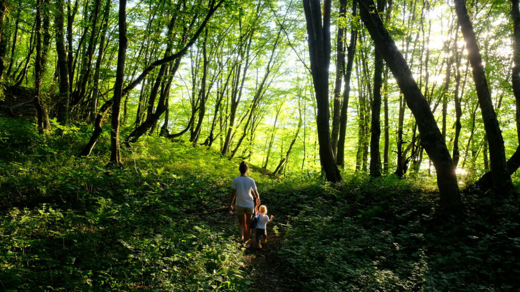 Children on a trail in the woods