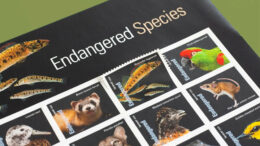 Can Collecting Stamps Help Rare and Endangered Species?