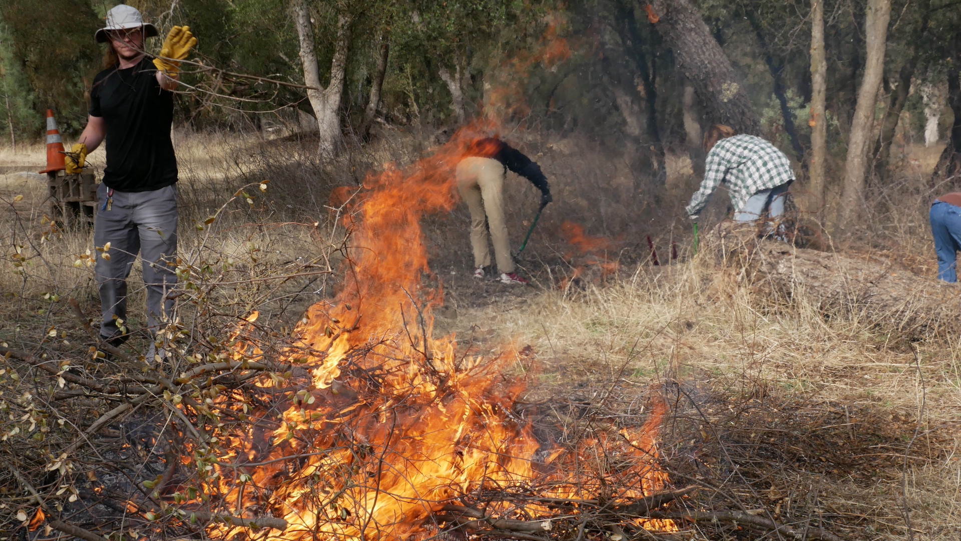 Several people stand around burning grasses.