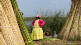 A Uros woman in colorful skirt and jacket stands amidst drying reeds