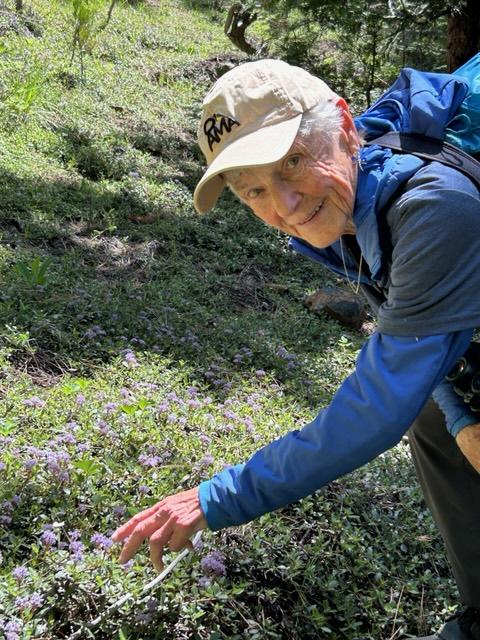 Barb Settles, in blue jacket and tan cap, leans over a healthy expanse of plants